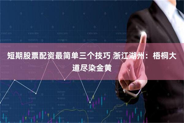 短期股票配资最简单三个技巧 浙江湖州：梧桐大道尽染金黄