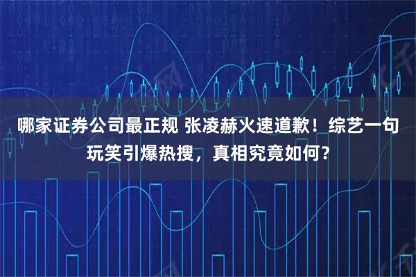 哪家证券公司最正规 张凌赫火速道歉！综艺一句玩笑引爆热搜，真相究竟如何？