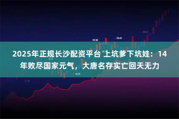 2025年正规长沙配资平台 上坑爹下坑娃：14年败尽国家元气，大唐名存实亡回天无力